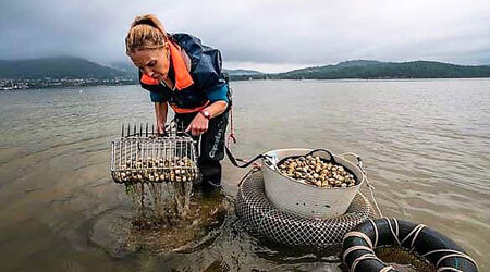 Tours with shellfishers in Galicia
