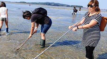 Excursions with shellfishers from Cambados in Galicia