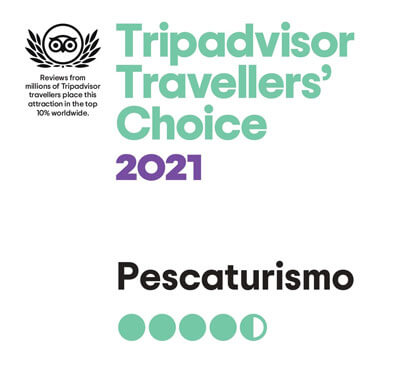 Fishingtrip Galicia wins the Travellers' Choice of Tripadvisor adward